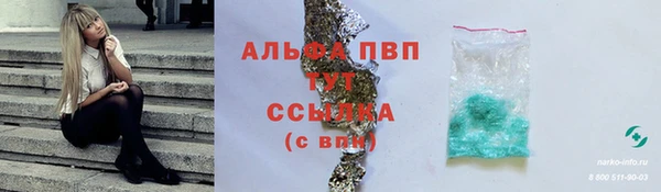 амф Гусев